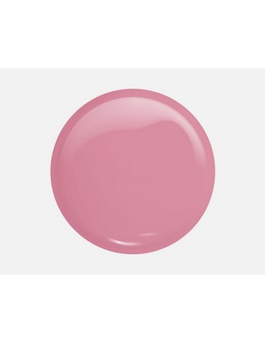 Pure Creamy Hybrid 255 Blooming Day | Esmalte Rosa Frambuesa