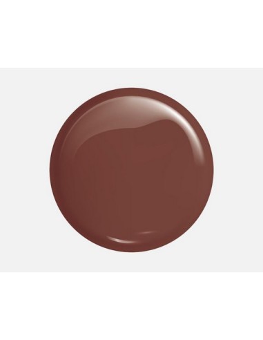 Victoria Vynn Gel Polish 093 Grand Canyon | Esmalte Híbrido Marrón Terroso