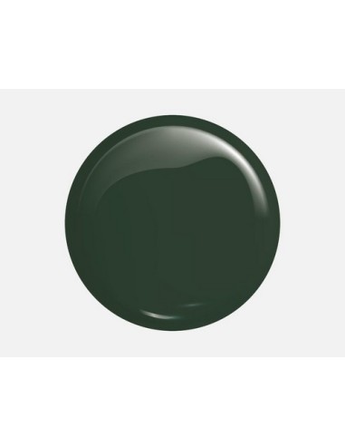 Victoria Vynn Gel Polish 208 Grassy Field | Esmalte Híbrido Verde Prado